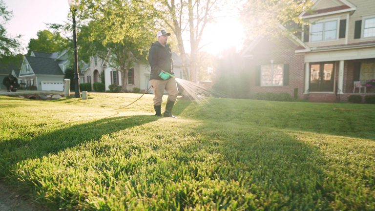 Lawn Care & Weed Control Services in Benson NC | Barefoot Lawn Care