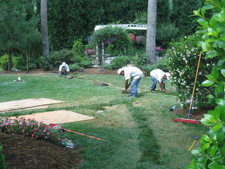 Lawn Care and Weed Control in Clayton NC | Barefoot Lawn Care