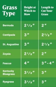 How High Should I Cut My Grass? | Grass Cutting Height Chart