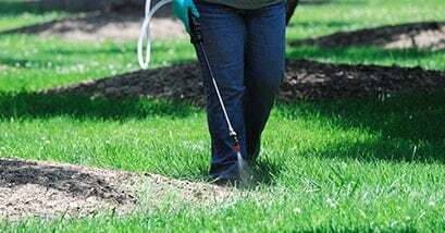 Weed Control Sprayer